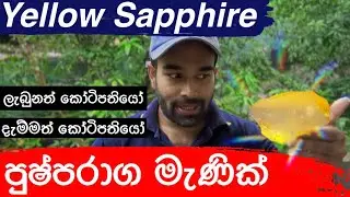 පුෂ්පරාග මැණික් ලැබුනත් දැම්මත් කෝටිපතියෝ - Yellow Sapphire #gemstones #gems #srilankagems #fyp