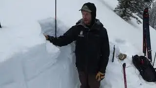 Danger is Heightened, Bradley's Mdw - 17 Feb 2022