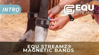 EQU StreamZ Magnetic Horse Bands | Introduction Video