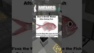 Most Hilarious Memes Ever