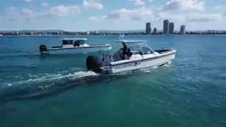 Axopar 24, 28, 37 Sanctuary Cove - Eyachts