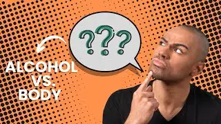 How Body Processes Booze vs. Food | The Science of Alcohol Digestion | @Begr8Ful