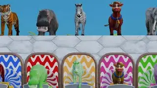 3D Animal Car Race Challenge 🐅🚗 | Funny Animal Racing | Hippo vs Zebra vs Cow vs Tiger
