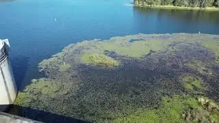 Enoggera Dam Brisbane Australia - 4K Cinematic