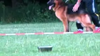 Standtraining.flv
