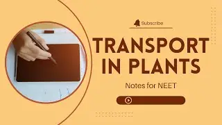 Transport in Plants #class11#neet#biology#notes