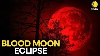 Blood Moon Alert: Sky Watchers Get Ready For The First Total Lunar Eclipse Of 2026 &nbsp;| WION Originals