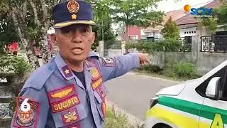 PALANGKARAYA - WARGA PANIK, LEBAH MADU BERSARANG DI HALAMAN RUMAH