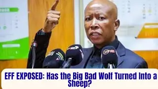 EFF EXPOSED: Has the Big Bad Wolf Turned Into a Sheep? 🐺➡️🐑