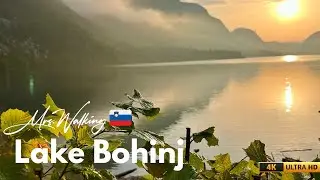 A Tranquil Walk Through Slovenia's Alpine Wonderland, Lake Bohinj 🇸🇮 • 4K ULTRA HD 60fps