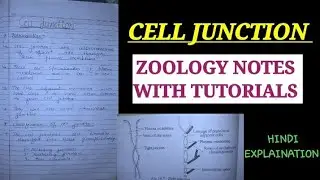 CELL JUNCTION |HINDI EXPLAINATION #celljunction #cell #desmosomes #ionchannel #msc #bsc #zoologynote