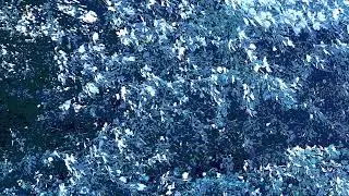 Wilhelm Lyons - Holiday Bliss (Winter Ambient)