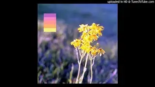 chuckee. - love