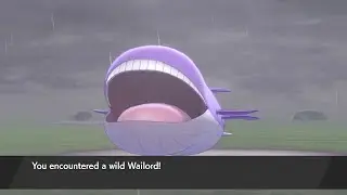 Shiny Wailord static encounter 375 SRs in Pok&eacute;mon Sword and Shield: The Isle of Armor