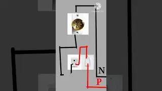 test lamp cannction diagram ⚡ how to wiring cannction diagram #electrical #viral #shorts #youtube