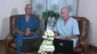 Espondilosis en gatos en Animaladastv