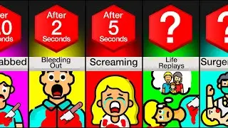 Timeline: What Happens When You Get Stabbed?