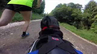 Barkrun #6 - Unofficial Queen Elizabeth Parkrun 13/6/20