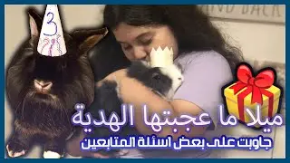 طريقة الليتر بوكس وتنظيم الالعاب للارانب📦 | سلسلة تربية الارانب 🐰