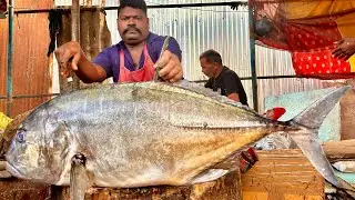 KASIMEDU SPEED SELVAM BIG 🤯😱🤯TREVALLY FISH CUTTING VIDEO FISHERMEN ENTERTAINMENT VIDEO 