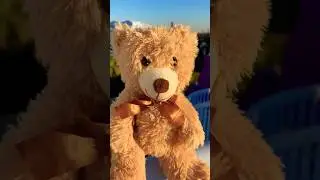 Шутка про Русалочку из Disney World! #шутка #медвежьябордка #русалочка #disneyfunny #funnybear