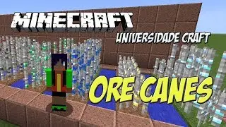 Universidade Craft -  Mod  Spotligth Ore Canes - Minecraft 1.12.2