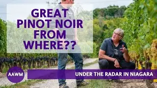 Uncovering the Secrets of Niagara's Limestone Bench with Thomas Bachelder