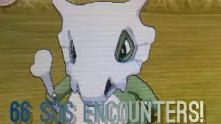 Shiny Cubone after 66 SOS Encounters in Pok&eacute;mon Ultra Moon!