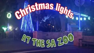 Zoo Lights at the San Antonio Zoo
