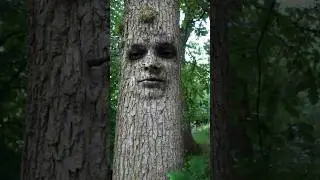 The Mystical Man-Face Tree: Nature's Marvel #shorts #manface #trees @Plants-World