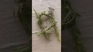Tutorial bloemenkrans maken voor sint-jan