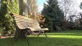 Relaxing Outdoor Park Sounds 10 min Trees Wind Fountain Water