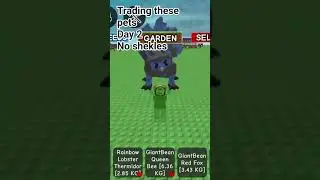 trading these pets day 2#trading #offers #roblox