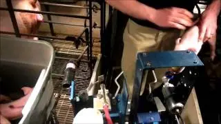 Pulse NeedleFree Systems EasyPro Platform Injection System