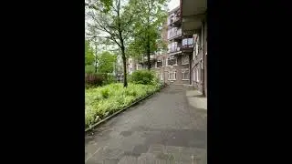 Early birds sing