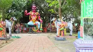 Kasangadu Munian Temple Captured on 1st Jan 2026 @ponmudi_views