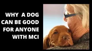 Pet power for people with memory loss