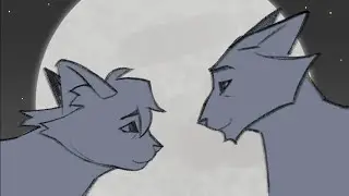 Leafpool AMV Test Shot (Warrior Cats)