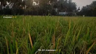vivasayam what's app status tamil🌾🌾 and farmers felling what's app status🌾 😞agriculture status😍