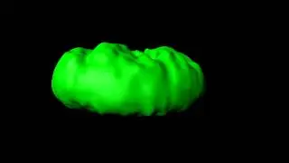 Surface view of nuclear dynamics on circular geometry