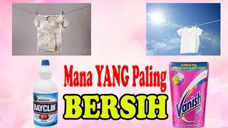 Bayclin Vs Vanisth!! ! Perbedaan Pemutih Baju, Inilah Yang Paling Bersih.