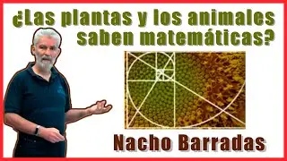 NACHO BARRADAS | ¿Las plantas y los animales saben matemáticas?