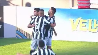 Leandrinho (96) - Botafogo 2016 - Goals