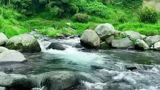 Copy of Peaceful River Sounds &ndash; Gentle Sleep and Nature Harmony | sleep - relax - enjoy life - ASMR