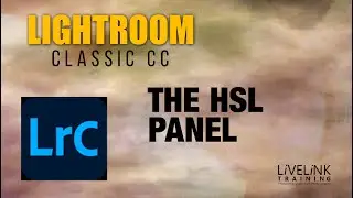 The HSL Panel