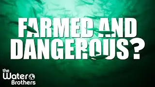 Farmed And Dangerous? - The Water Brothers - Season 2