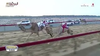 ش5 ملفتة لـ عبدالله علي محمد حميدان (المرموم الأسبوع الثامن 28-12-2025) جذاع بكار محليات 9:03:7