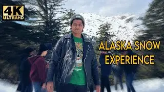 😍 UNBELIEVABLE! My Solo Trip to Alaska in Cruise ship