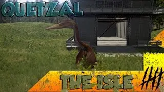 Disfrutando el quetzal y bugueando el mapa | The isle Gameplay espa&ntilde;ol #5