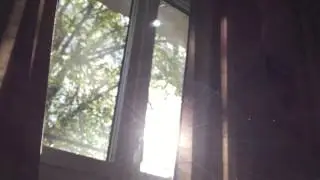 Dust in Light